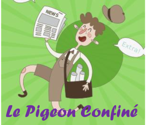 Le Pigeon Confiné